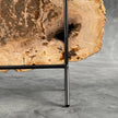 Beautiful Slice of Petrified Wood on stand - D5/170