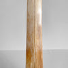 Natural Tusk on stand 22/EX/503