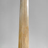 Natural Tusk on stand 22/EX/503