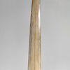 Natural Tusk on stand 22/EX/503