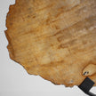 Beautiful Slice of Petrified Wood on stand PetW/038