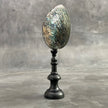 Abalone Shell on Stand -P2/340