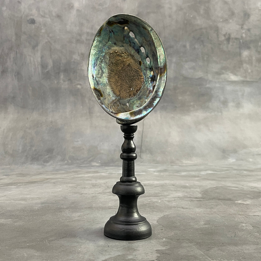Abalone Shell on Stand -P2/340