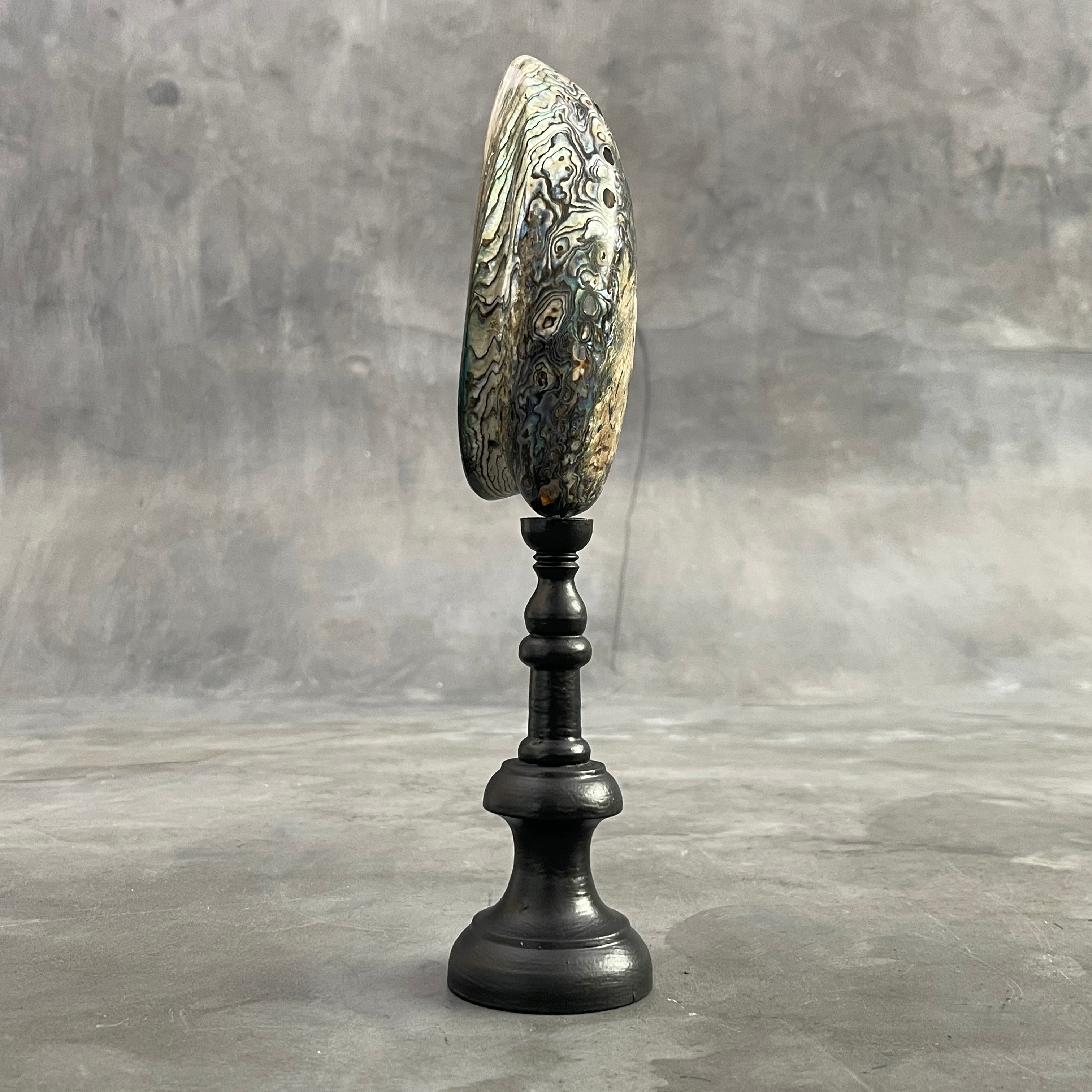 Abalone Shell on Stand -P2/340