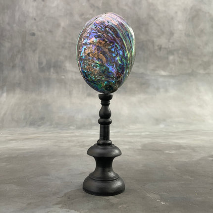 Abalone Shell on Stand -R2/343