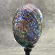 Abalone Shell on Stand -R2/343