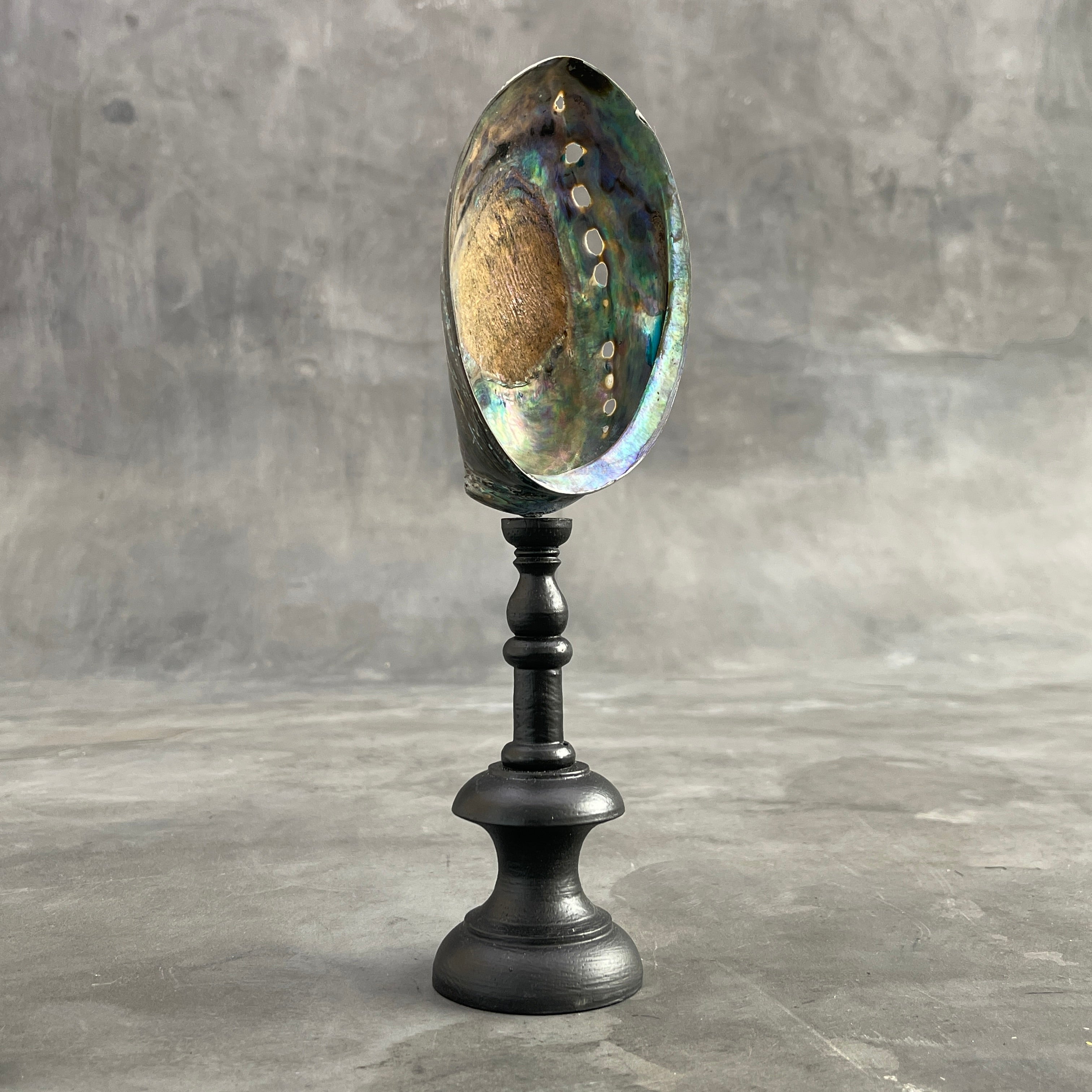 Abalone Shell on Stand -R2/343