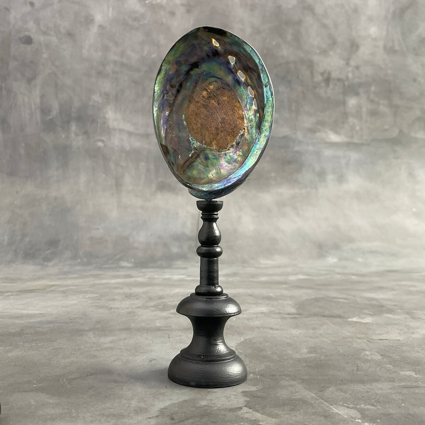 Abalone Shell on Stand -R2/343