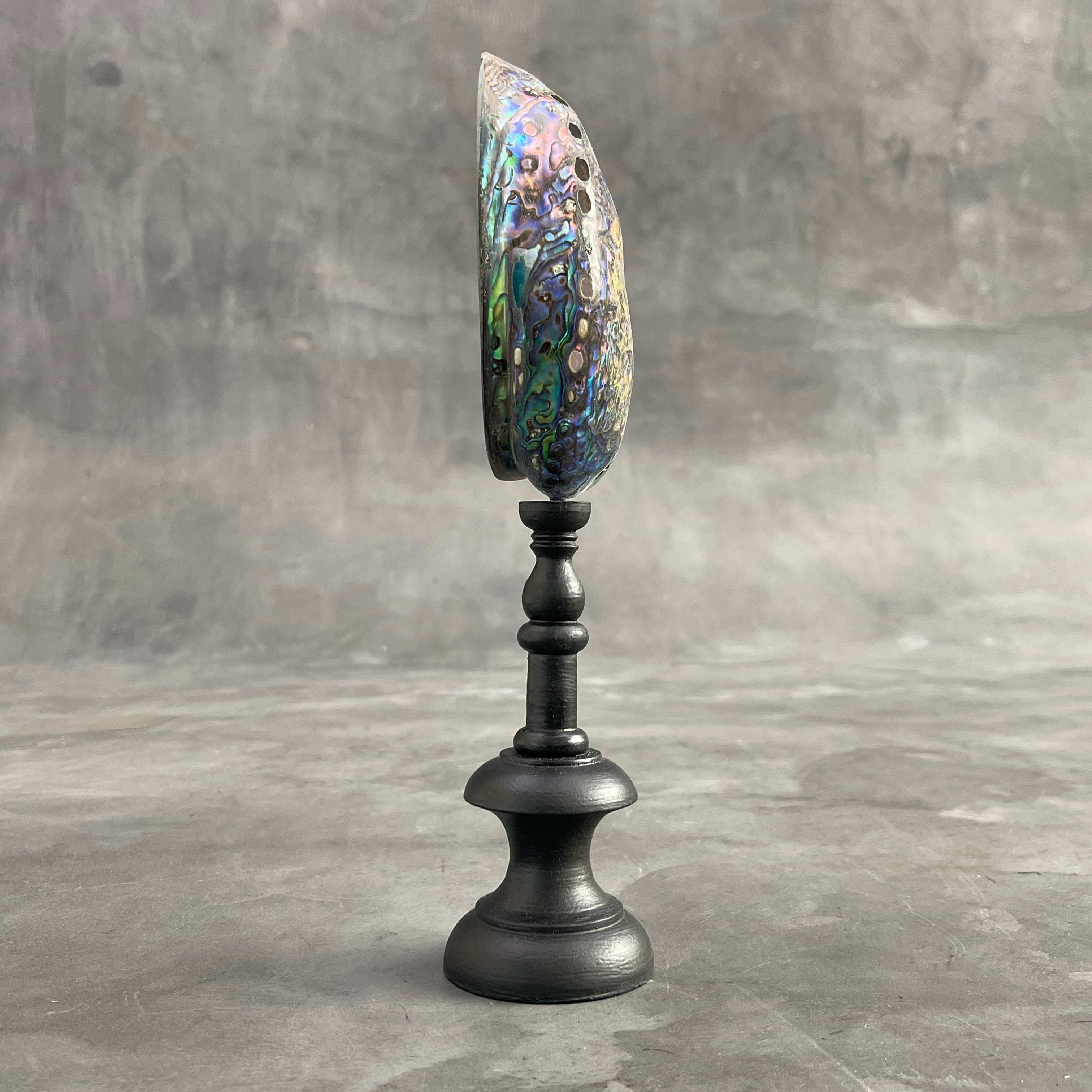 Abalone Shell on Stand -R2/343