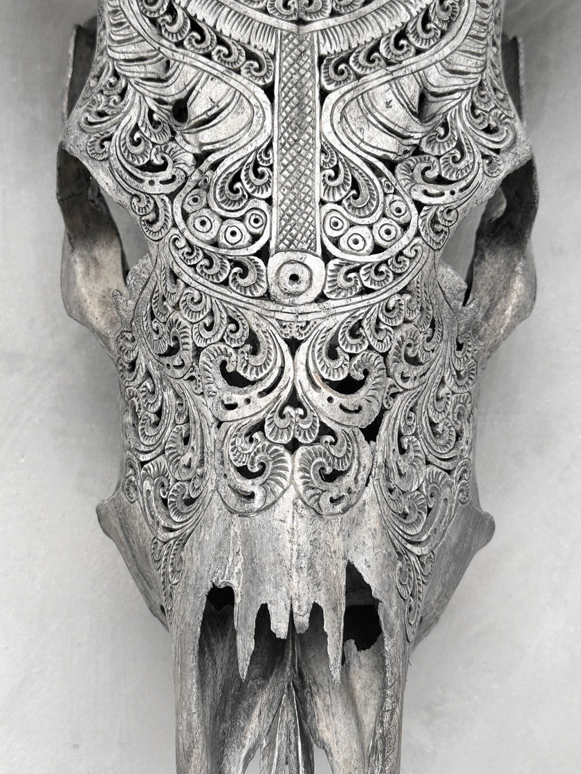 Carved Cow Skulls with Badong Carving Skull,A/076