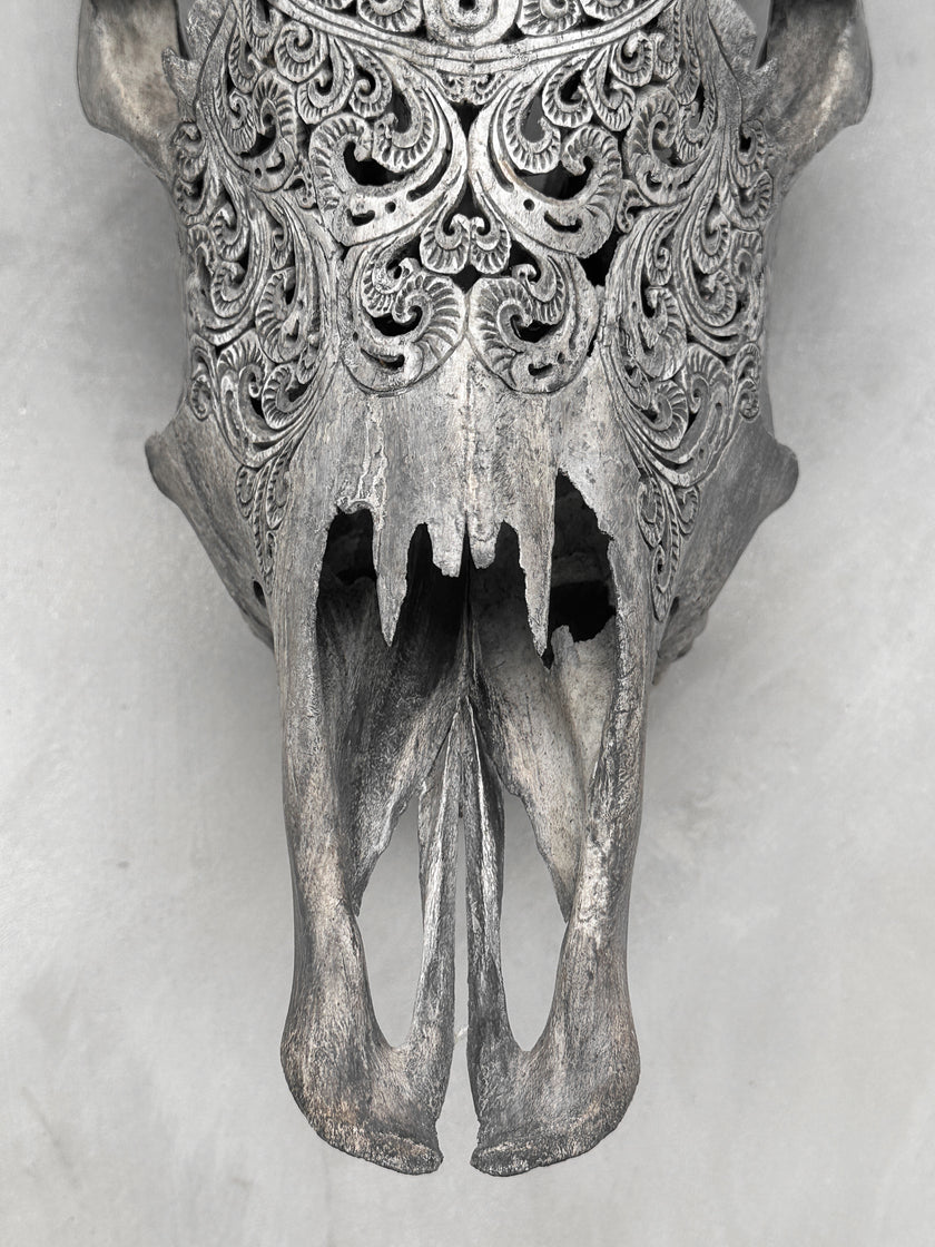 Carved Cow Skulls with Badong Carving Skull,A/076