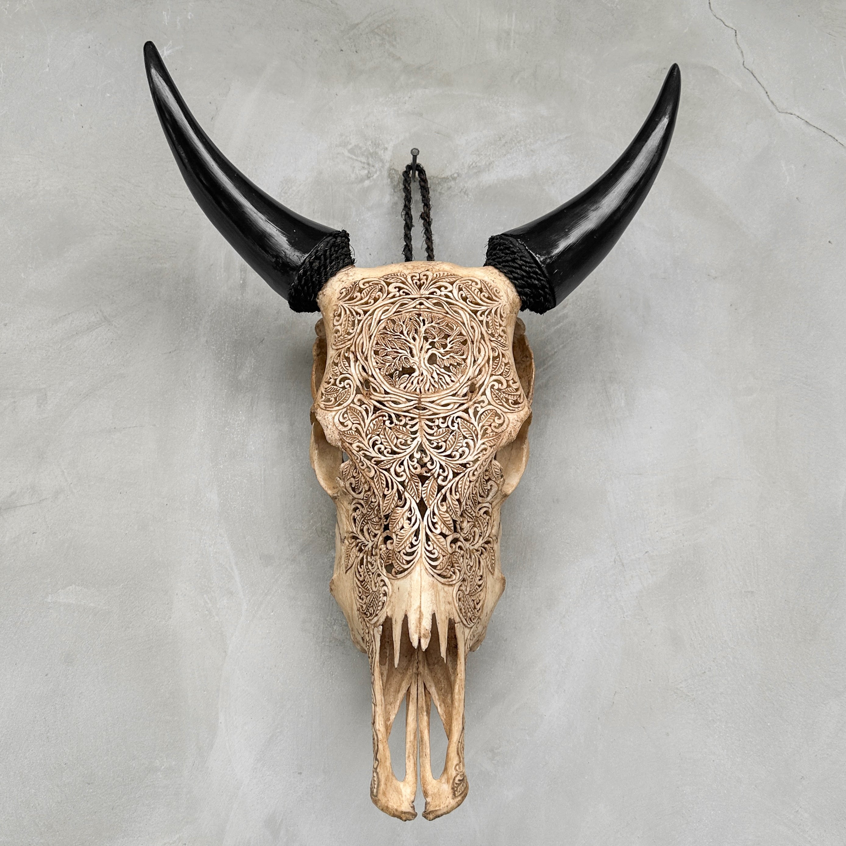 Carved Cow Skulls with Pohon Carving Skull,A/074