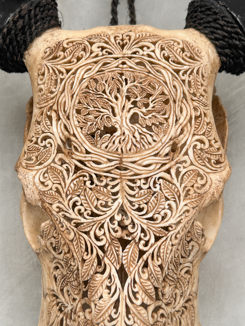 Carved Cow Skulls with Pohon Carving Skull,A/074