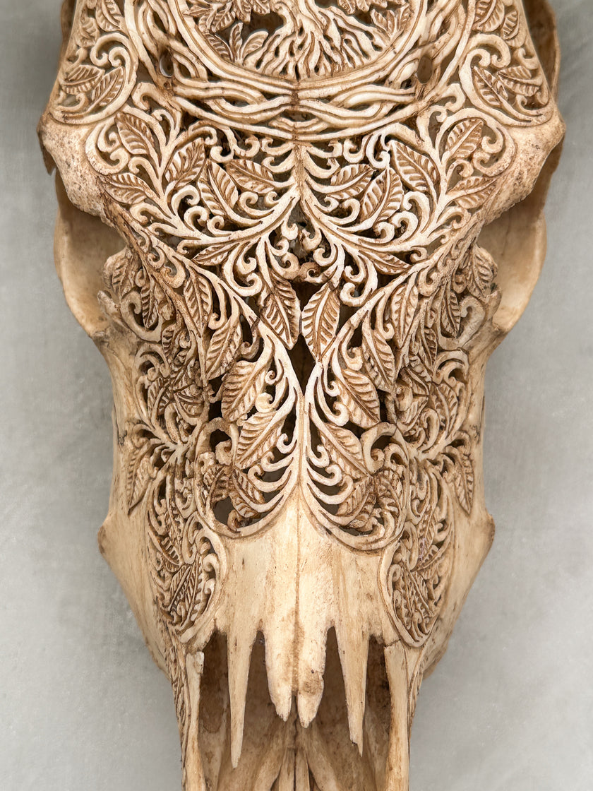 Carved Cow Skulls with Pohon Carving Skull,A/074