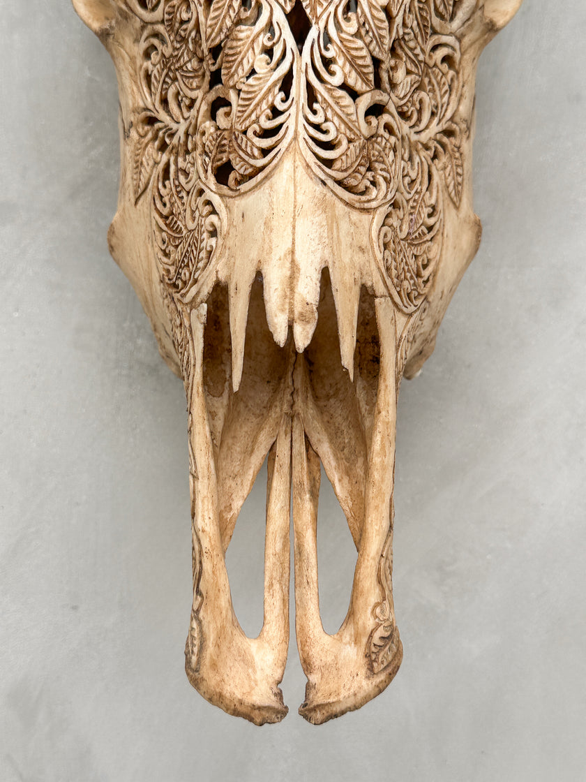Carved Cow Skulls with Pohon Carving Skull,A/074