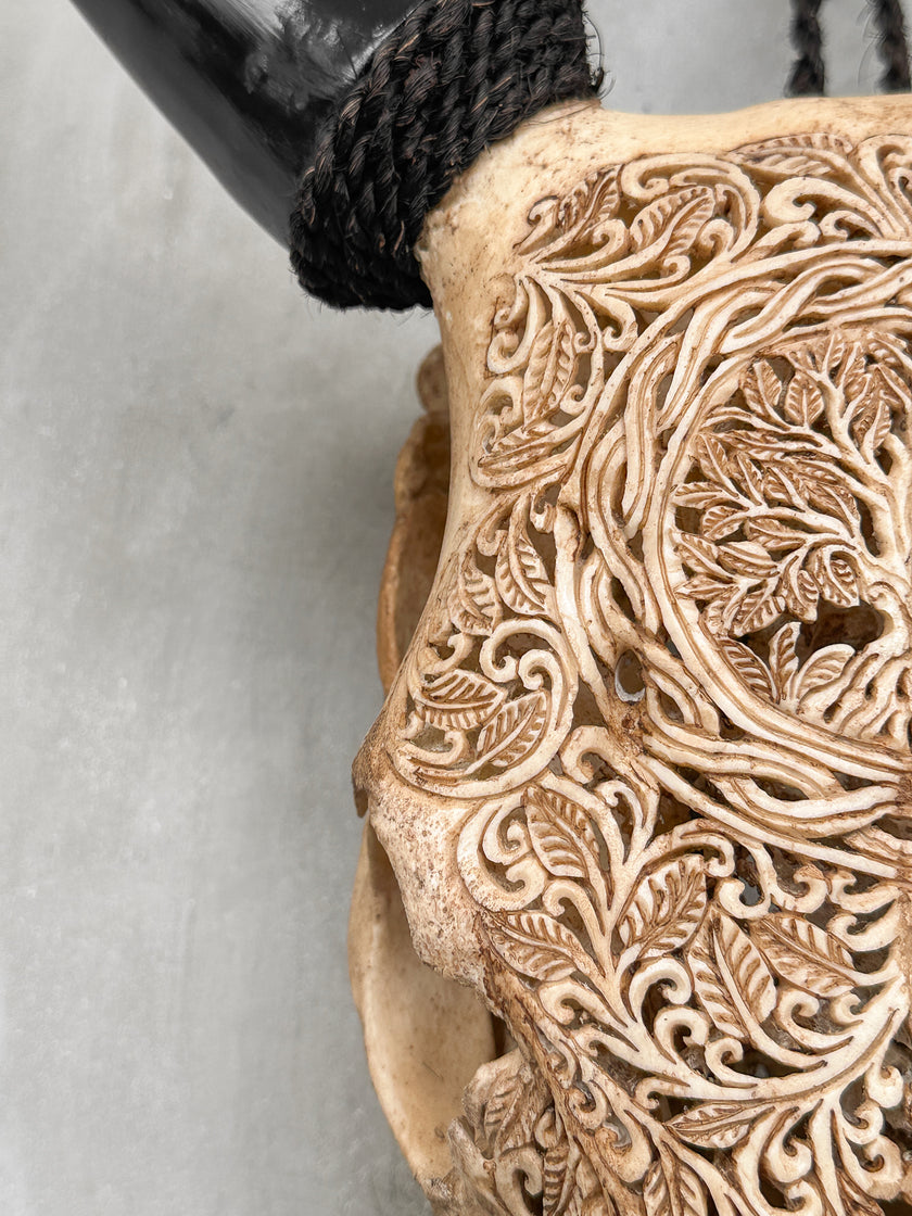 Carved Cow Skulls with Pohon Carving Skull,A/074