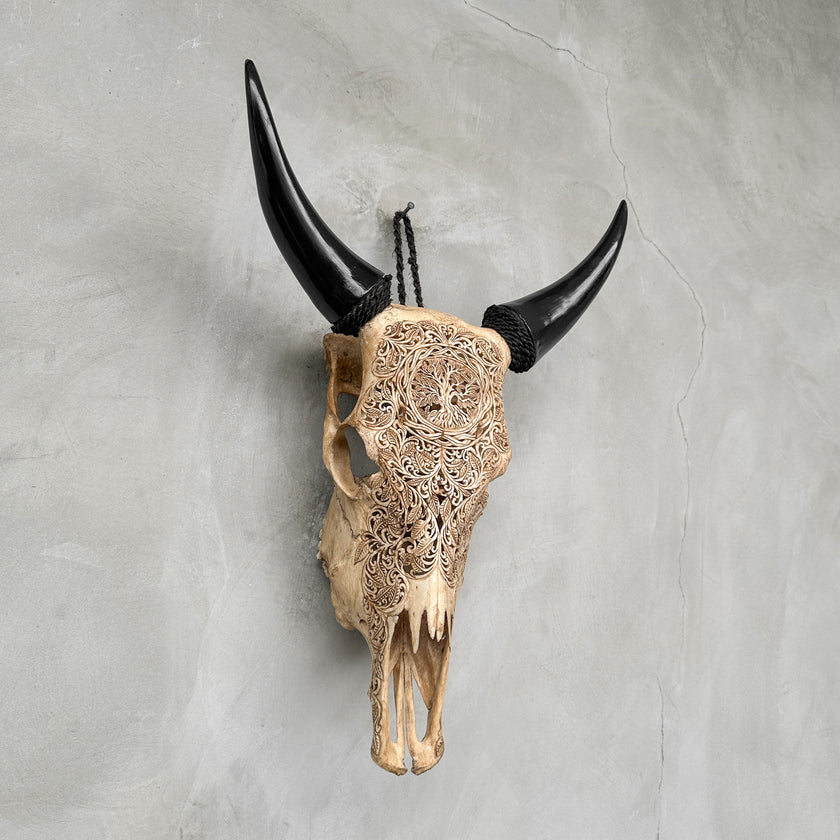 Carved Cow Skulls with Pohon Carving Skull,A/074