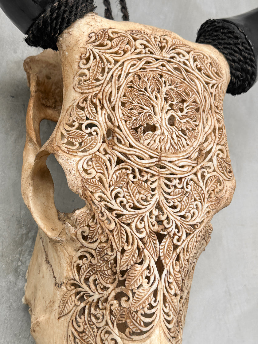 Carved Cow Skulls with Pohon Carving Skull,A/074