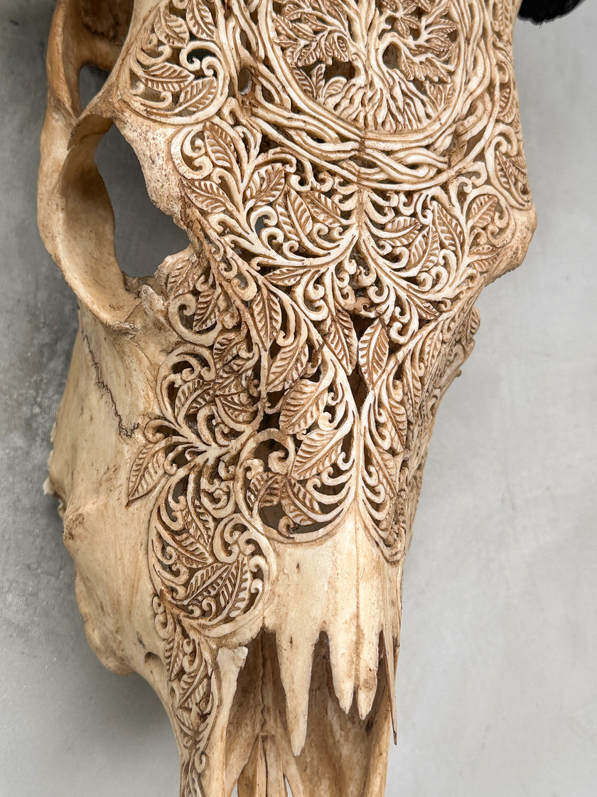 Carved Cow Skulls with Pohon Carving Skull,A/074