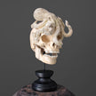 Tarmarind Wooden Skull With Octopus Carving Antler - 7Z/108