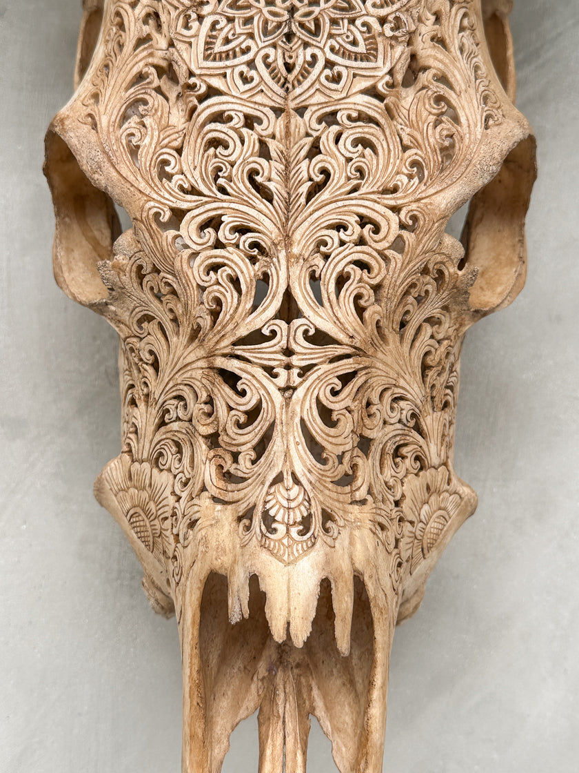 Carved Cow Skulls with Star Mandala Carving Skull,A/075