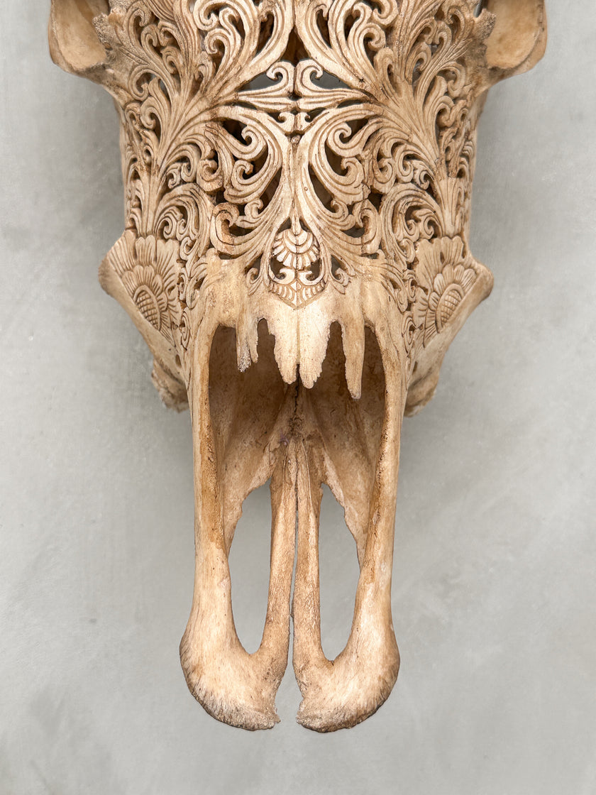 Carved Cow Skulls with Star Mandala Carving Skull,A/075