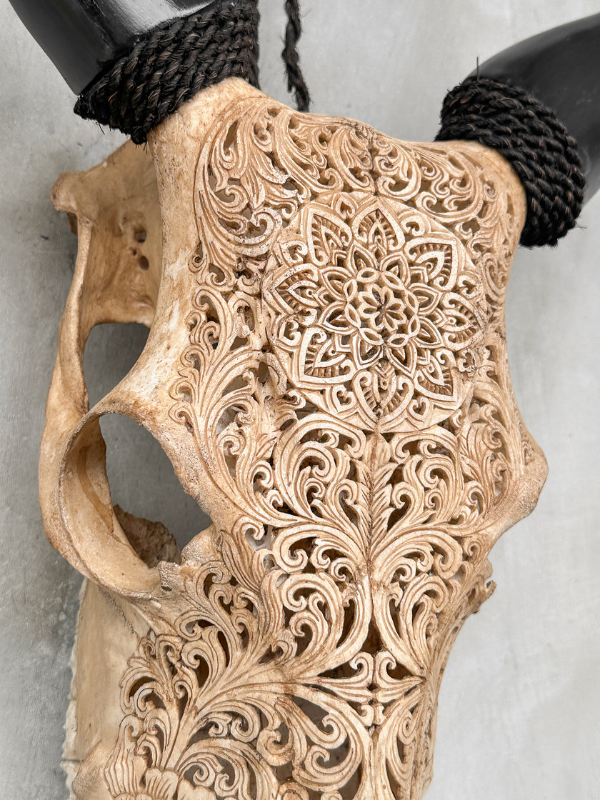 Carved Cow Skulls with Star Mandala Carving Skull,A/075