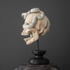 Tarmarind Wooden Skull With Snake Carving Antler - 7A/107