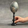 Abalone Shell on Stand -P2/340