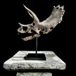 Triceratops Grey - RS003