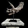 Triceratops Grey - RS003