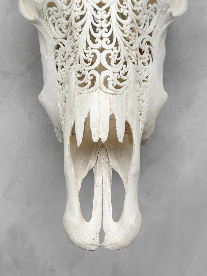 Carved Cow Skulls with Flower Mandala New Carving Skull,A/071