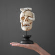 Tarmarind Wooden Skull With Snake Carving Antler - 7A/107