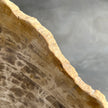 Beautiful Slice of Petrified Wood on stand - G1/149