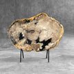 Beautiful Slice of Petrified Wood on stand - 9O/133
