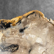 Beautiful Slice of Petrified Wood on stand - 9O/133