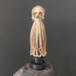 Tamarind Wood Skull with Carved Tentacles - 7J/110