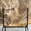Beautiful Slice of Petrified Wood on stand - G1/149