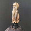 Tamarind Wood Skull with Carved Tentacles - 7J/110