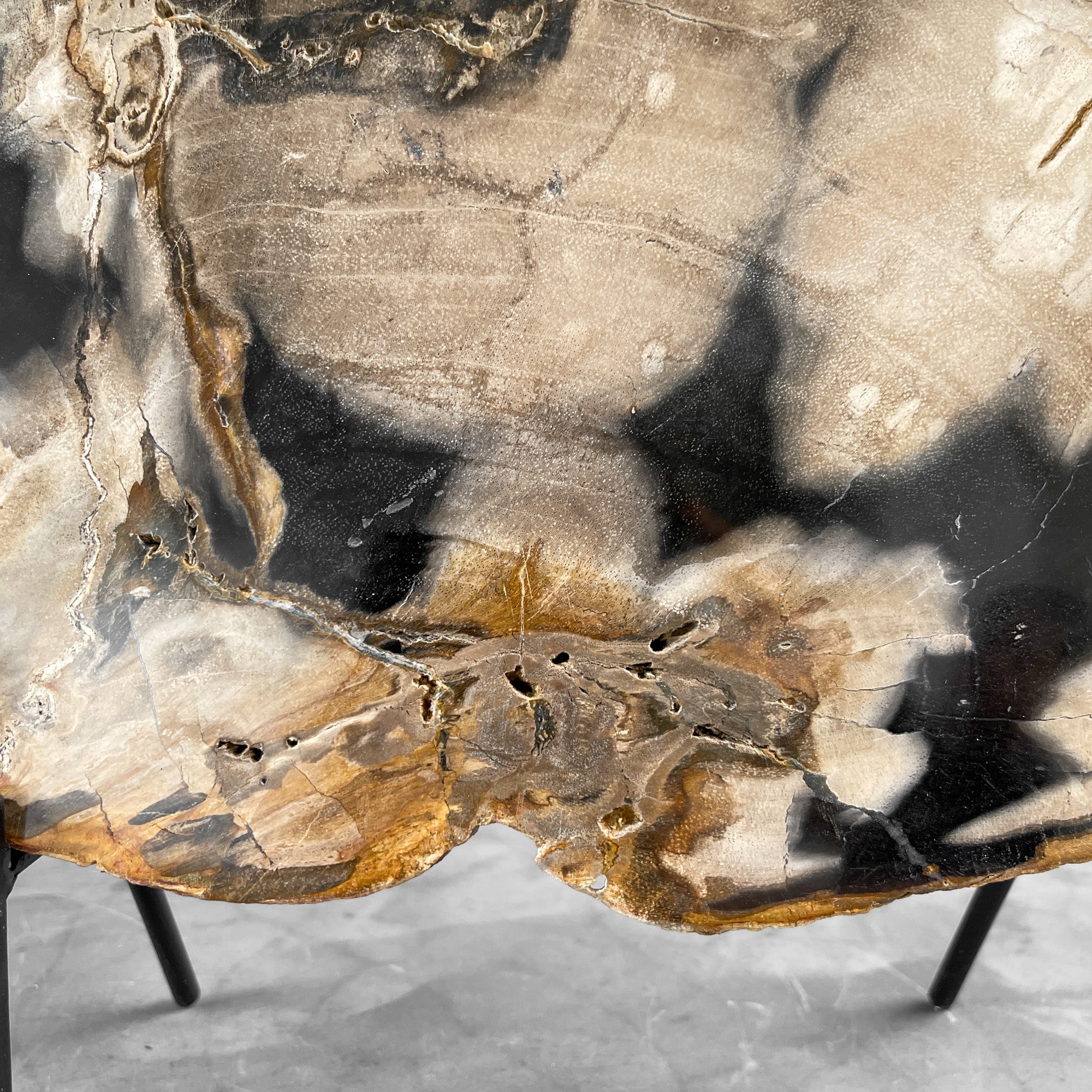 Beautiful Slice of Petrified Wood on stand - 9O/133