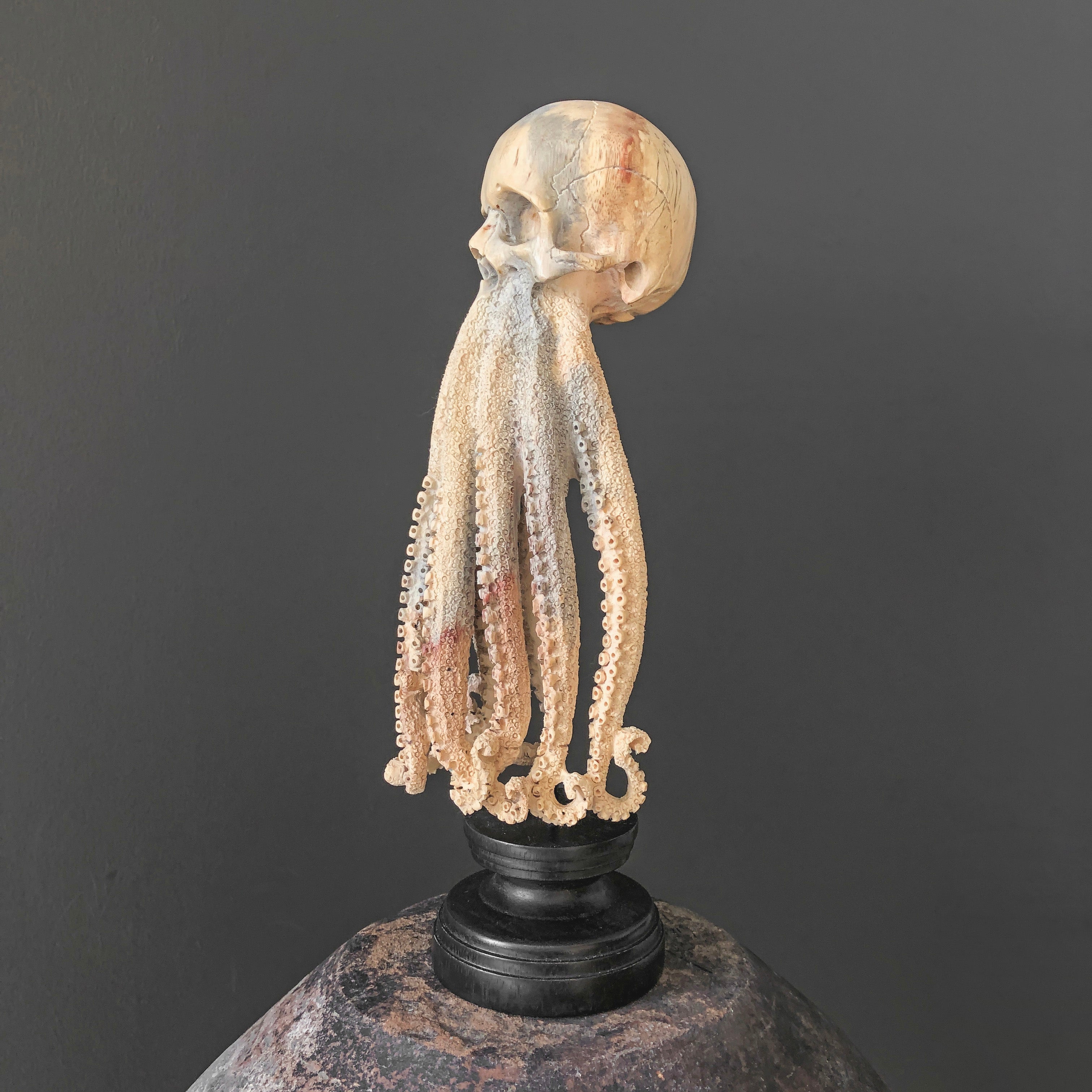 Tamarind Wood Skull with Carved Tentacles - 7J/110