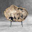 Beautiful Slice of Petrified Wood on stand - 9O/133