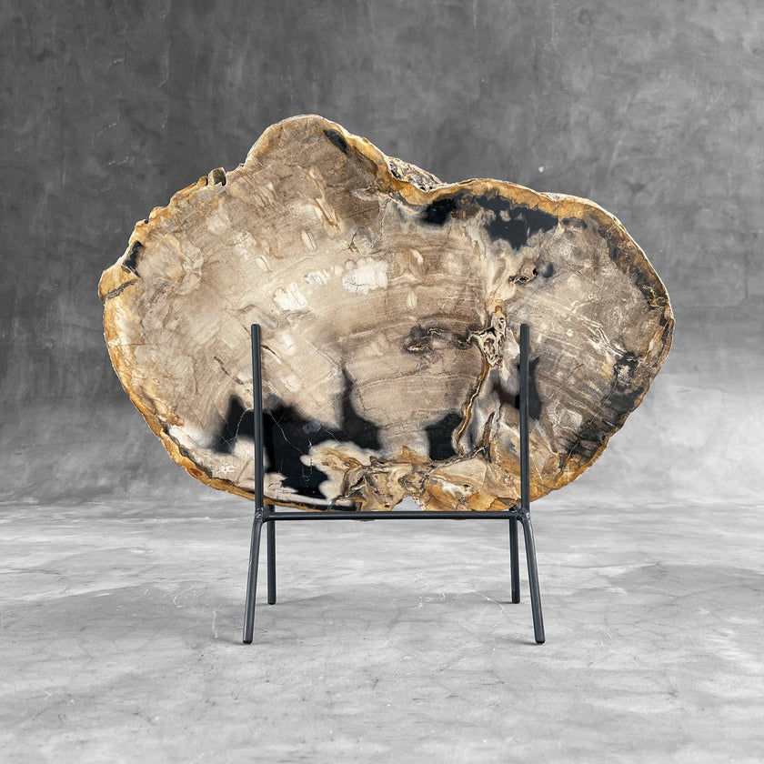 Beautiful Slice of Petrified Wood on stand - 9O/133