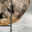 Beautiful Slice of Petrified Wood on stand - 9O/133