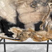 Beautiful Slice of Petrified Wood on stand - 9O/133