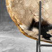 Beautiful Slice of Petrified Wood on stand - 9O/133