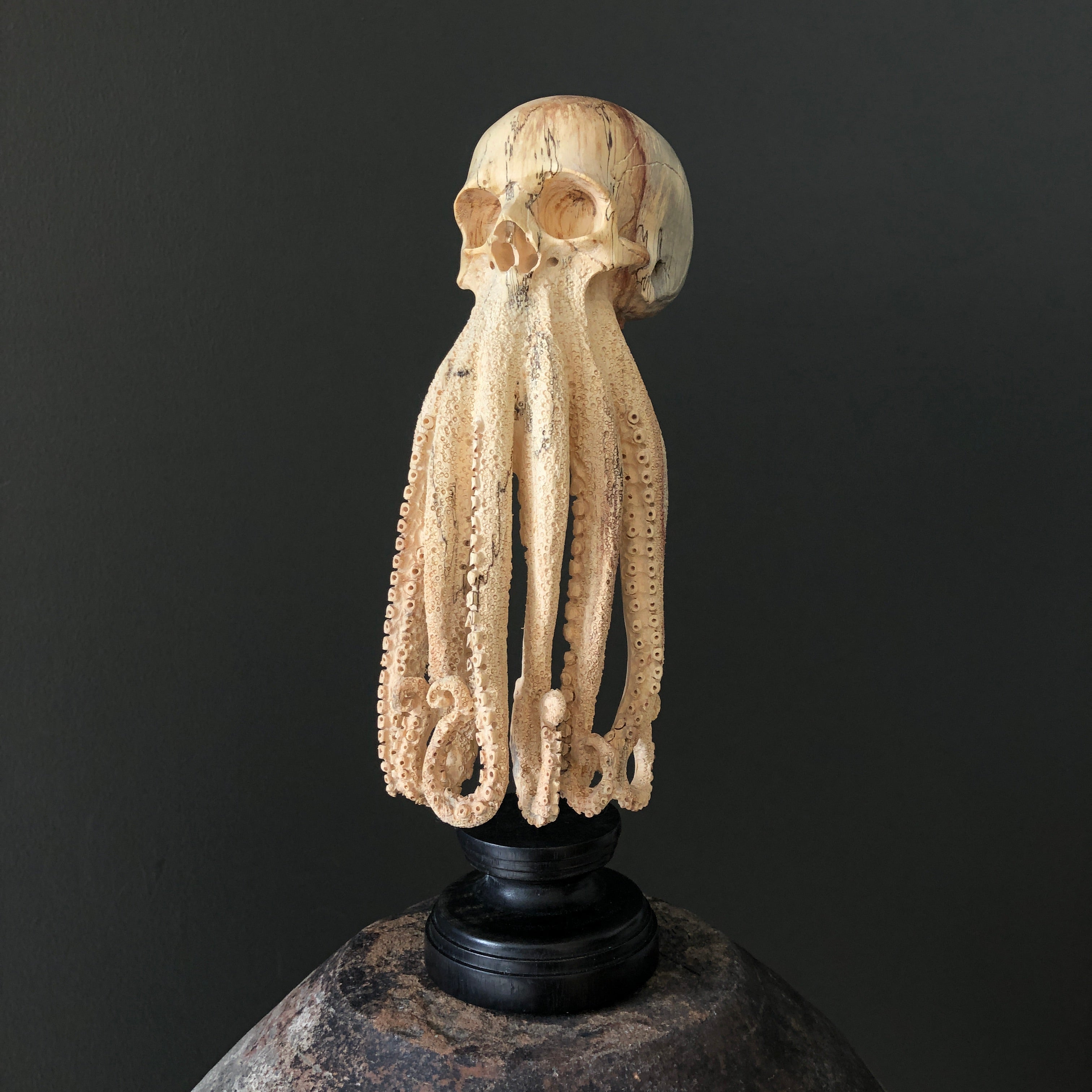 Tamarind Wood Skull with Carved Tentacles - 7G/110