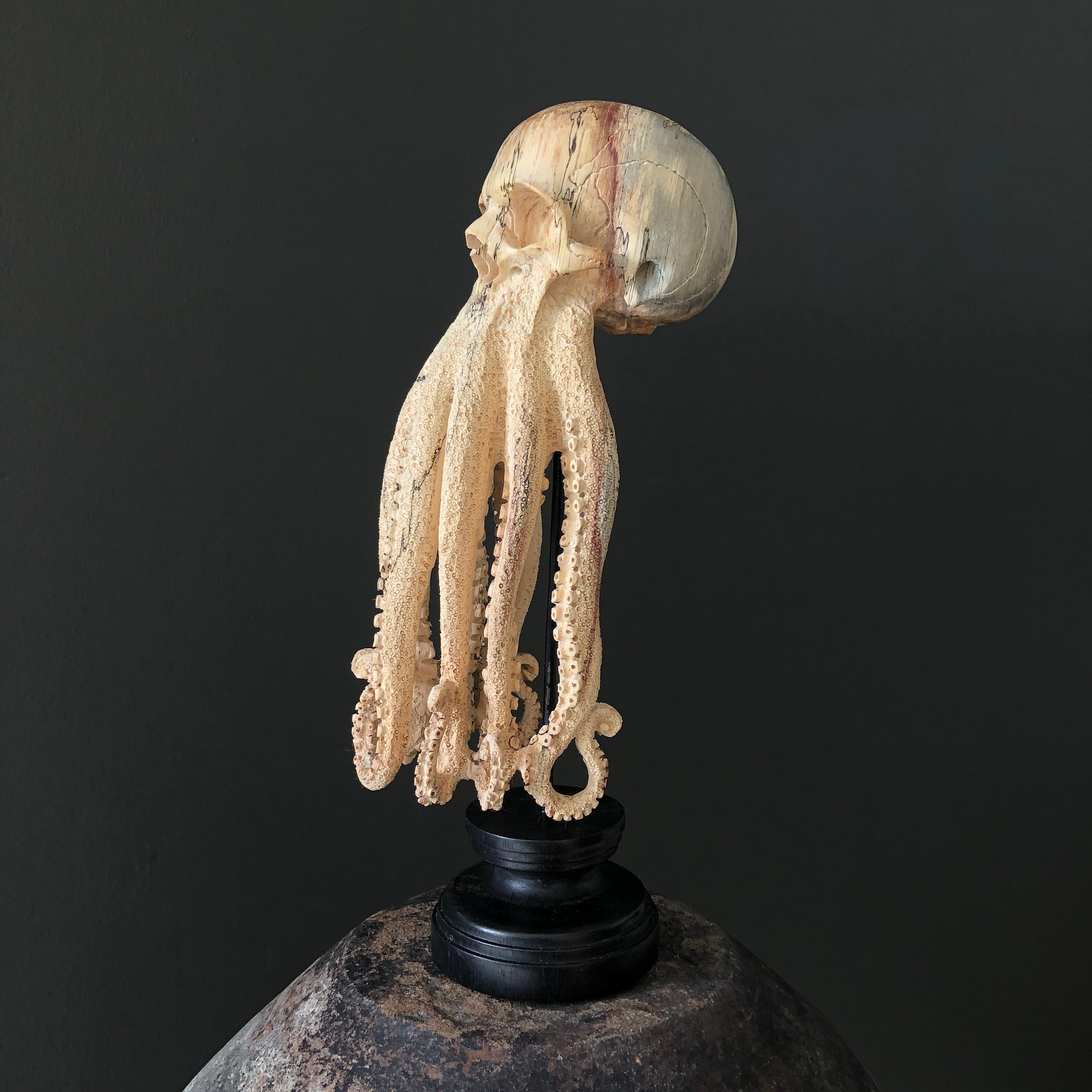 Tamarind Wood Skull with Carved Tentacles - 7G/110