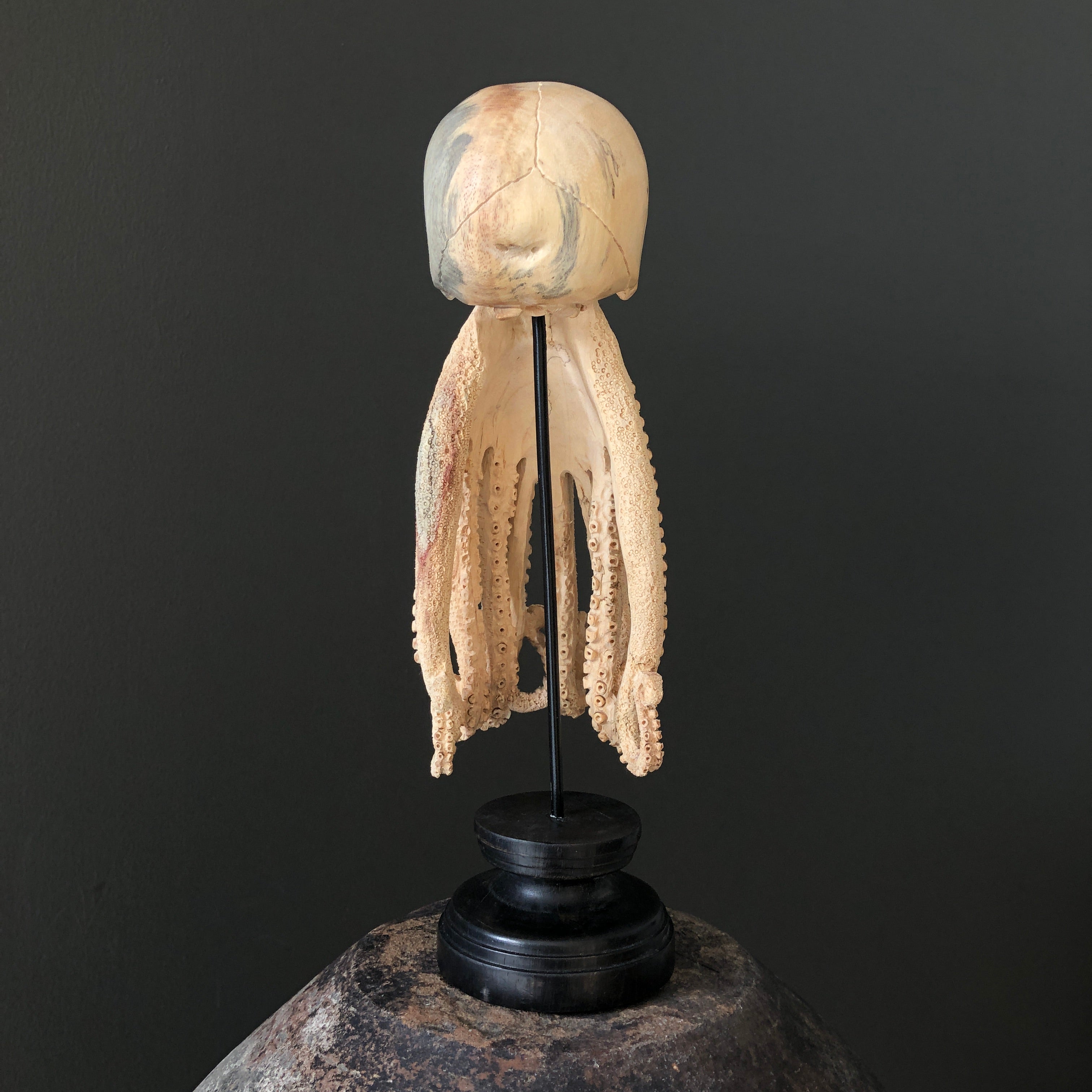 Tamarind Wood Skull with Carved Tentacles - 7G/110