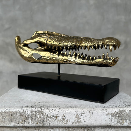 Crocodile on stand Polished Bronze - S